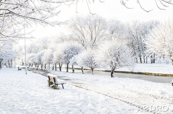 Canvas winterpark, besneeuwd pad boven de rivier, een paar prachtige bomen langs de rivier