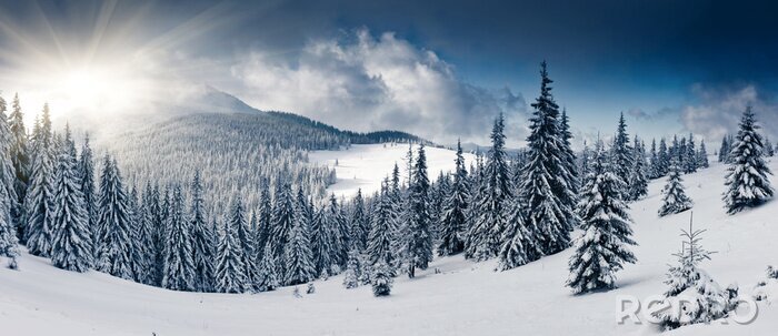 Canvas Winters bergpanorama