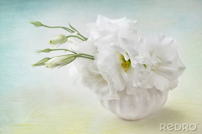 Canvas Witte bloemen