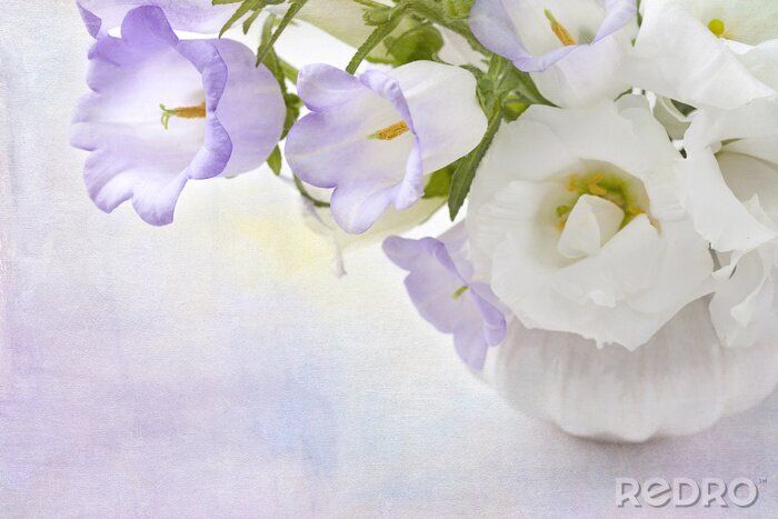 Canvas Witte en lila bloemen