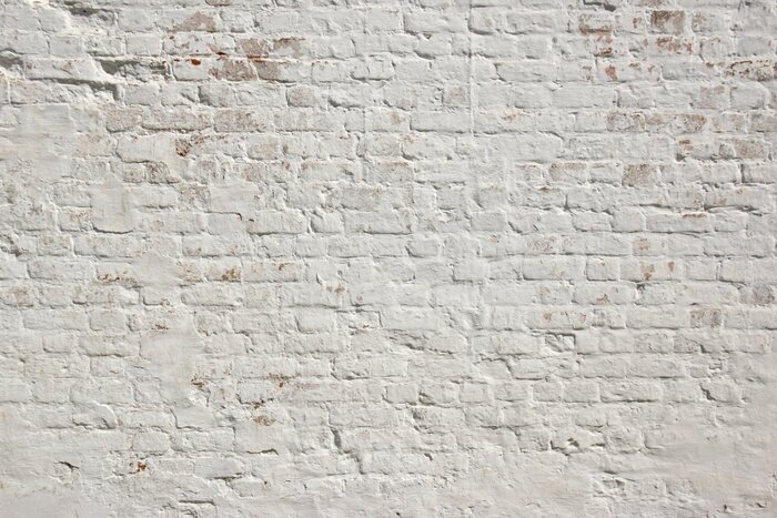 Canvas Witte grunge bakstenen muur achtergrond