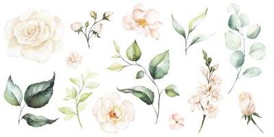 Witte rozen toppen en bloemen in aquarel