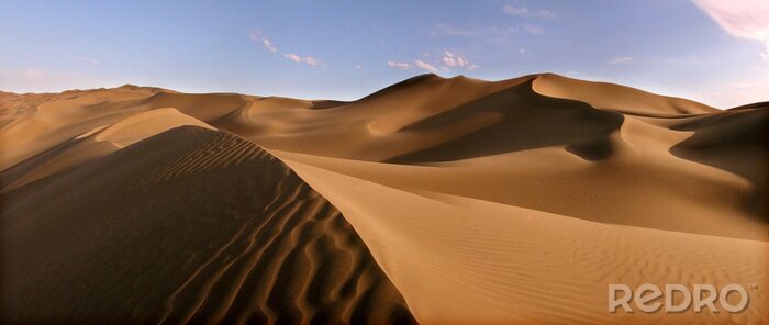 Canvas woestijn