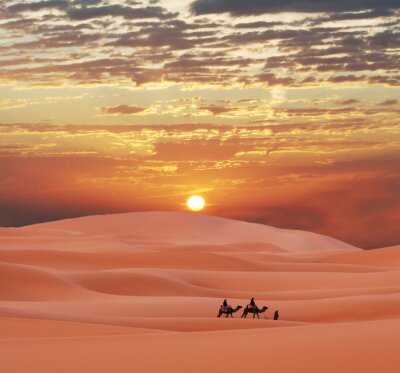 Woestijn en karavaan