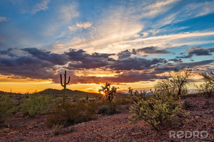 Canvas Woestijn van Arizona zonsondergang