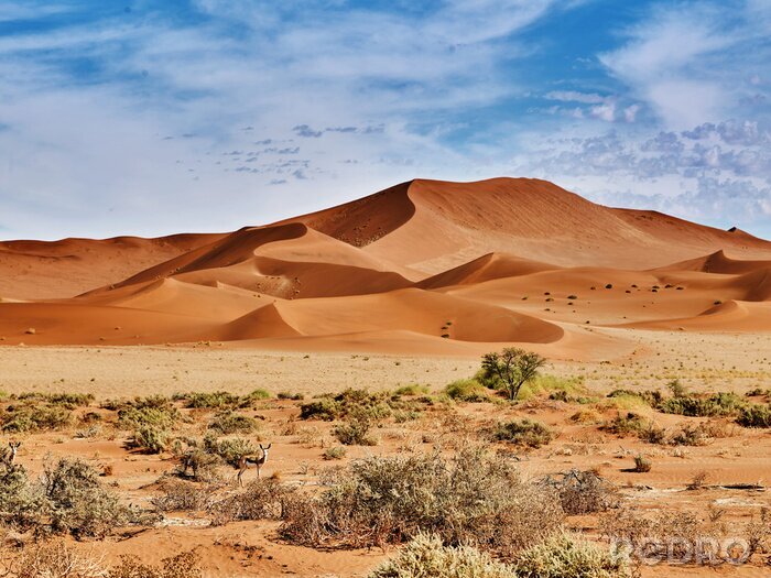 Canvas Woestijn van namib met oranje duinen