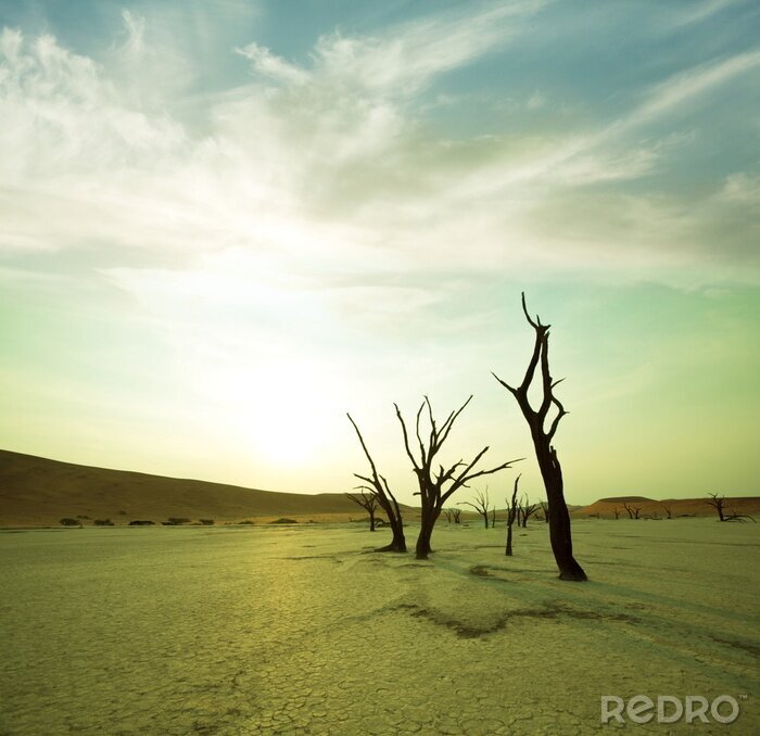 Canvas Woestijnaard en gedroogde takken