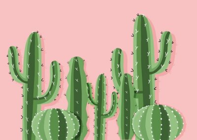Canvas Woestijncactussen op roze achtergrond