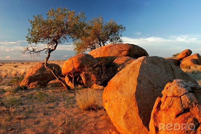 Canvas Woestijnlandschap van Namibië