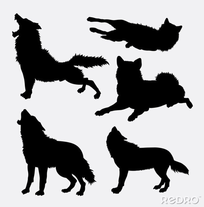 Canvas Wolf wilde dieren en actie silhouet. Goed gebruik voor symbool, logo, web pictogram, mascotte, teken, avatar, of een ontwerp dat u wilt. Makkelijk te gebruiken.