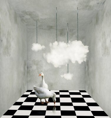 Wolken en eenden in een surrealistische kamer