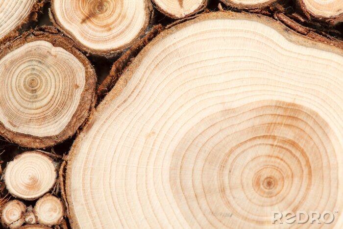 Canvas Wood background