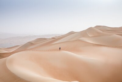 Canvas Wrijf al Khali-woestijn in het Lege Kwart, in Abu Dhabi, de VAE