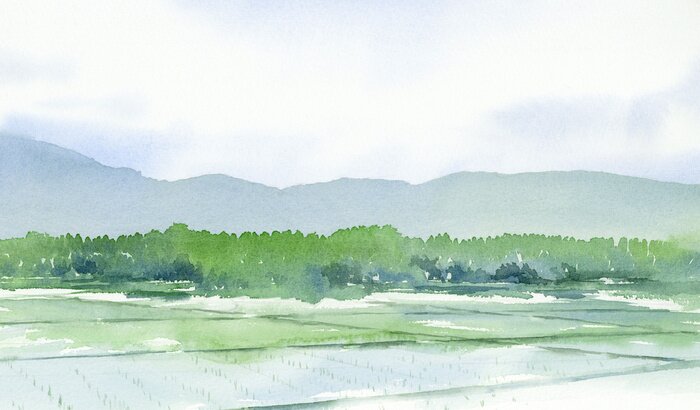 Canvas 水田　山　風景　水彩画