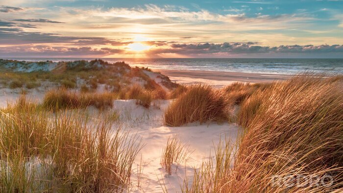Canvas Zandduinen aan de zee bij zonsopgang