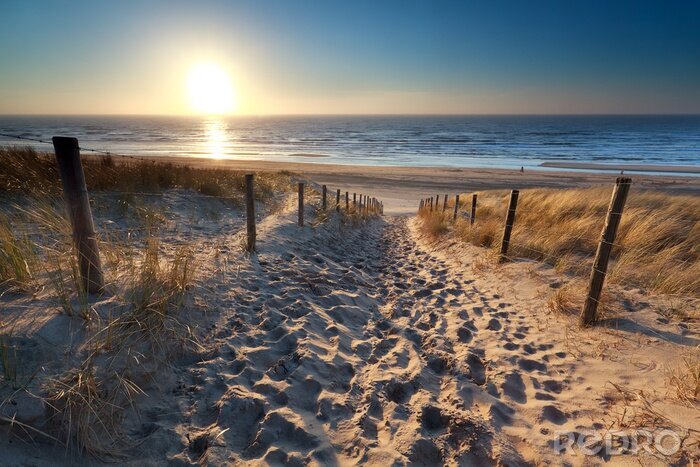 Canvas Zandige afdaling naar de Noordzee