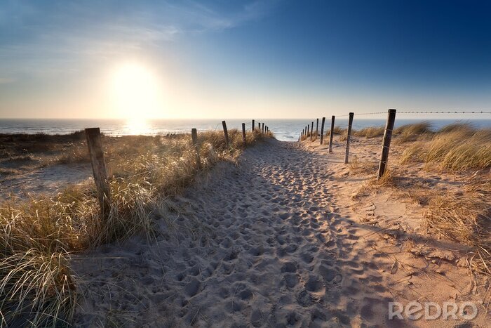 Canvas zandpad aan Noordzeestrand