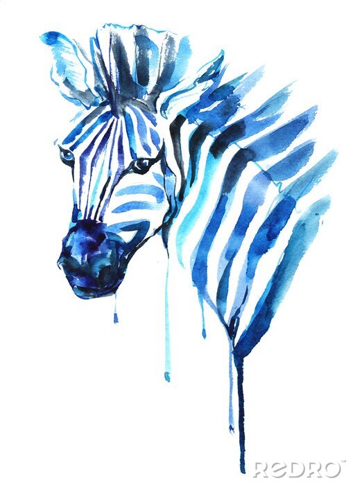 Canvas Zebra