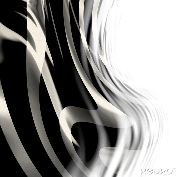 Canvas Zebra huid textuur