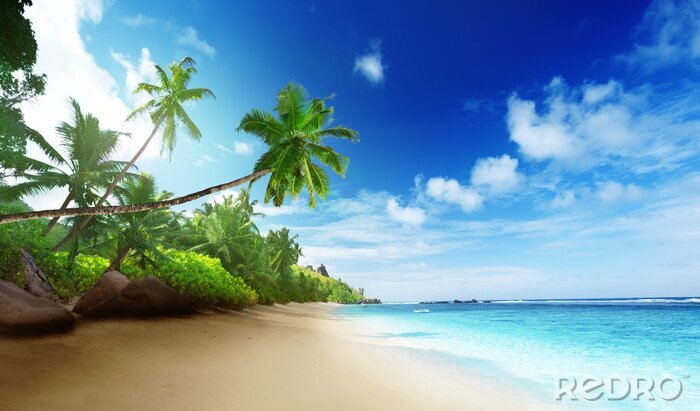 Canvas Zee zand en palmbomen