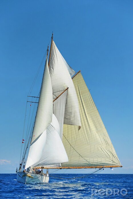 Canvas Zeilboot met grote zeilen