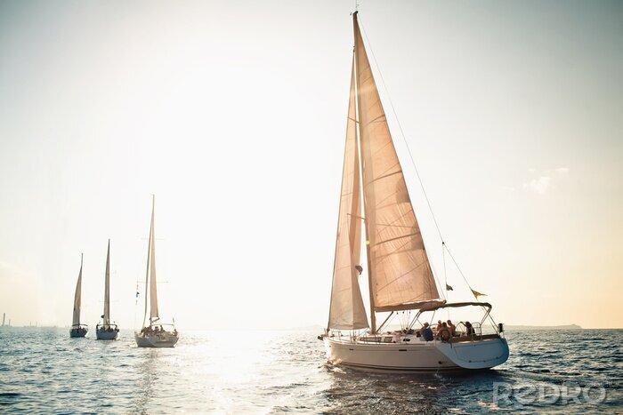 Canvas Zeilboot op zee bij zonnig weer