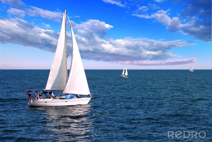 Canvas Zeilboten op zee