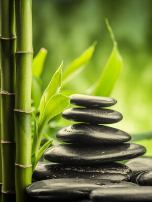 Zen-stenen omgeven door bamboescheuten