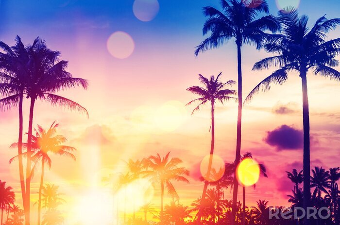 Canvas Zomer tropische foto met palmbomen
