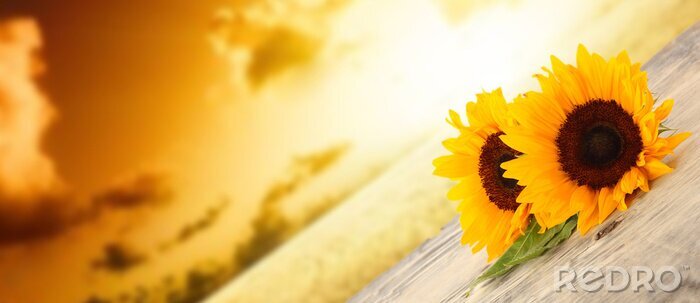 Canvas Zon en oranje bloemen