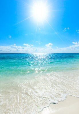 Poster Zonlicht boven de heldere zee