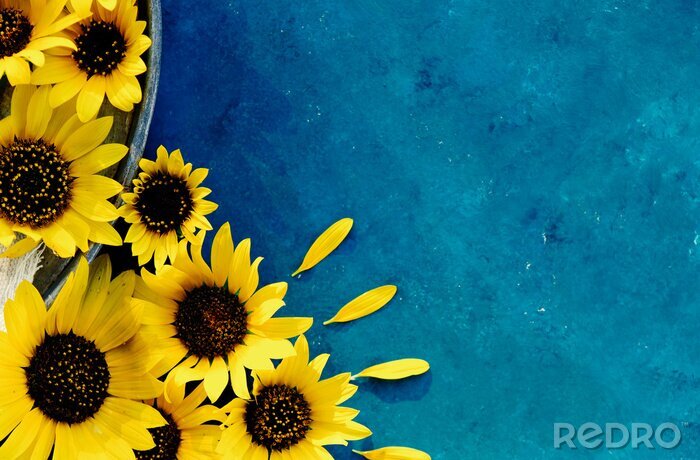 Canvas Zonnebloemen op een marineblauwe achtergrond