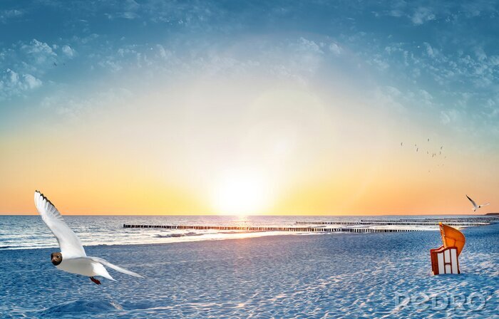 Canvas Zonnig strand en een meeuw