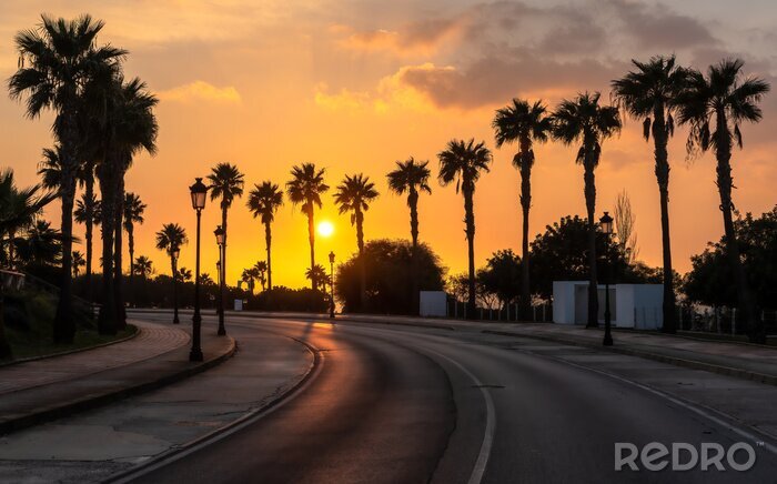 Canvas Zonnige straat tussen de palmbomen