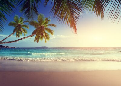 Zonsondergang boven de tropen