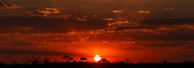 Canvas Zonsondergang - Chobe NP Botswana, Afrika