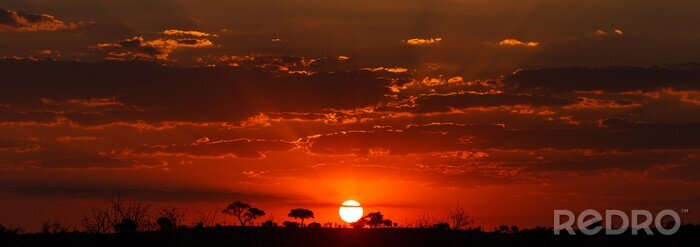 Canvas Zonsondergang - Chobe NP Botswana, Afrika