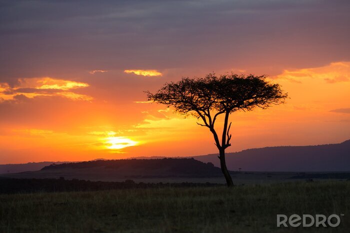 Canvas Zonsondergang in het Serengeti National Park, Tanzania, Afrika