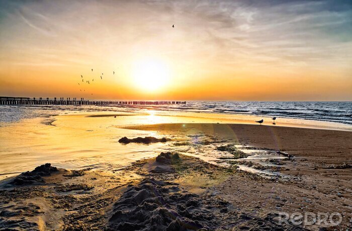 Canvas Zonsondergang, vogels en de zee