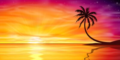 Canvas Zonsondergang, Zonsopgang met Palm Tree