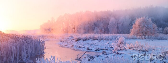Canvas zonsopgang van de winter
