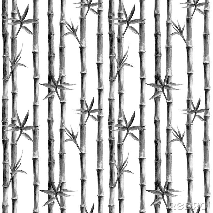 Canvas Zwart en wit bamboe