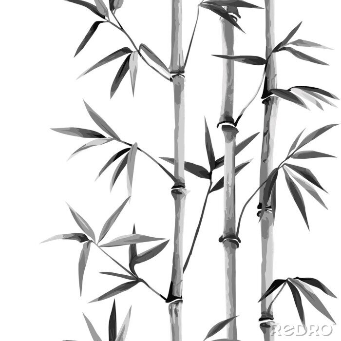 Canvas Zwart en wit bamboe
