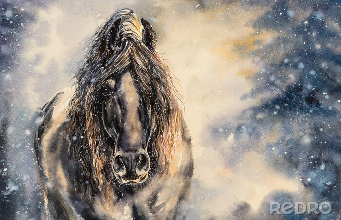 Canvas Zwart paard in de winterdag
