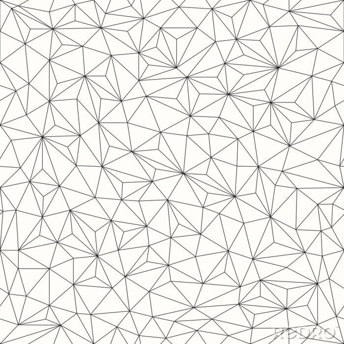 Canvas Zwart-wit geometrisch netwerk