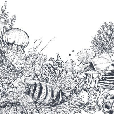Zwart-wit koraalrif