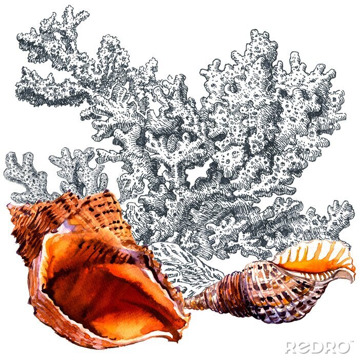 Canvas Zwart-wit koraalrif met oranje element