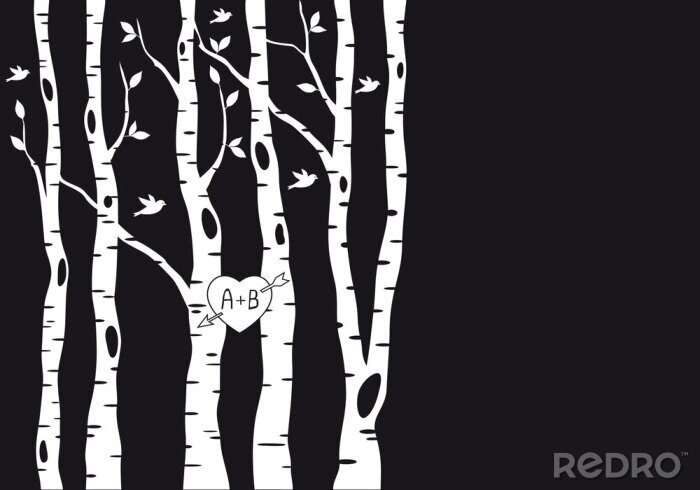 Canvas Zwart-wit motief met berken