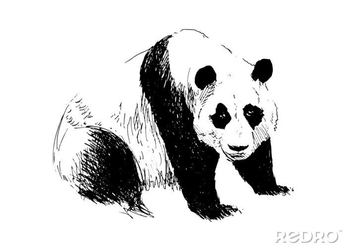 Canvas Zwart-wit panda tekening