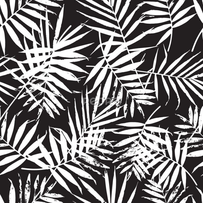 Canvas Zwart-wit patroon van palmbladeren